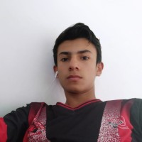 William Arnold Soler Roa