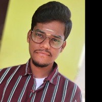 Vignesh S