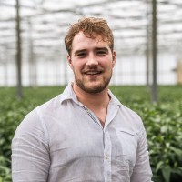 Gijs Timmer