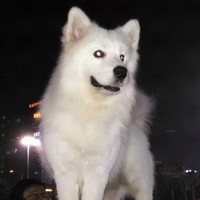 苏红萍