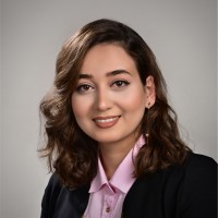 Elham Roohi