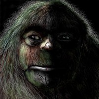 Andrew Benoit, FNP-BC