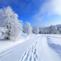 Kimberley R Dufresne