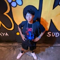 Muhammad Aries Fadillah