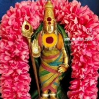 Karthick M