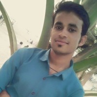 krishna ameta