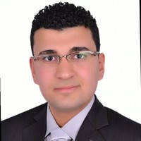Mohamed Abdelfattah Salem Elkhadrawy