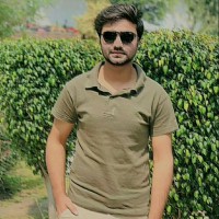 Syed Ali Ameer