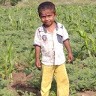 Samarth Totad