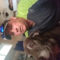 greg lindeman