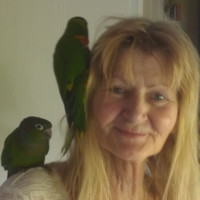 Wilma Fredriks