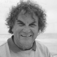Theo van Groningen