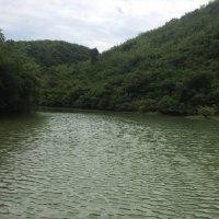 彭南涛