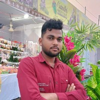 Subhasis Parida