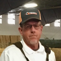 Andy Palmer