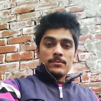 Zedy Arg