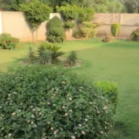 Hamdan Protein Farm