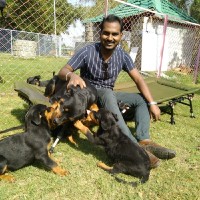 Dr.Anil kumar