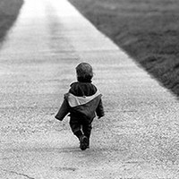 Helmut Stark