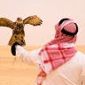 Arab Alsaqer Alsqoor