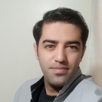 Mohammad Mehdi Silehkaran