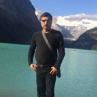Vijay Malik