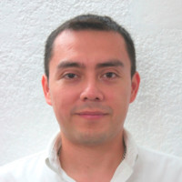 Emmanuel A. Flores Johnson