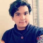 Andres Gerardo Castillo Cortes