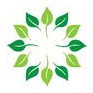 Honolulu Holistic Chamber Of Commerce