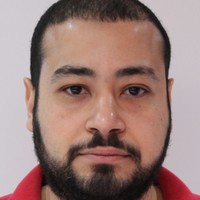 Abdelhamed A Moustafa