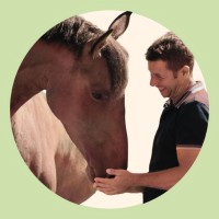 David Lagnieux-Tardy