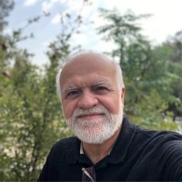 Seyed Mohammad Ali Hosseini