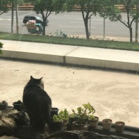 高江伟