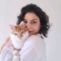 Karoline Menegotto Cunha