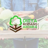 Andrea Romano