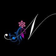 Nafiseh Salek