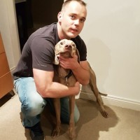 Matty Poole