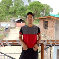 Rahul Thakur