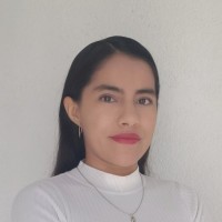 Dulce Viridiana Mora Hernández