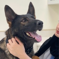 Mariam Alshebani