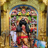 Shashank Dholakia