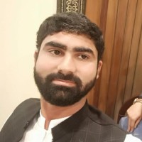 Muhammad Hamza Nadeem