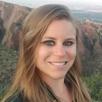 Kari Hollis