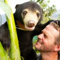 Bear Lirpa