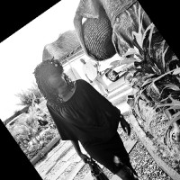 Salyeem Virtual Conversations X