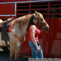 Rhonda Robey