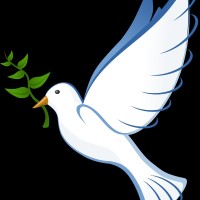 Sawt Alsalam