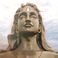 Rajasekhar B