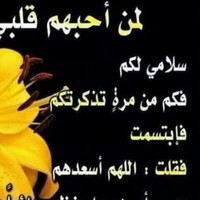 Legal. Accounting موسي