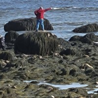 Alex Ryder